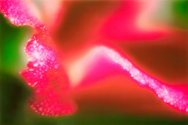 Similar image 21204855