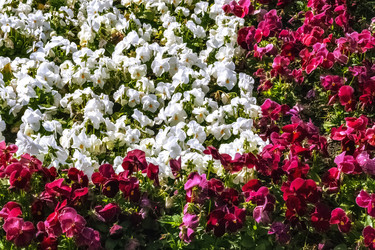 Similar image 21204864