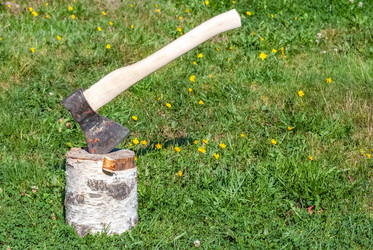 Similar image 21204876