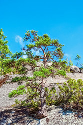 Similar image 21204884