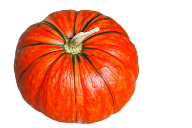 Similar image 21204889