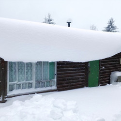 Similar image 21204974