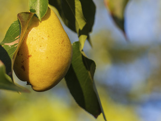 Similar image 21212547