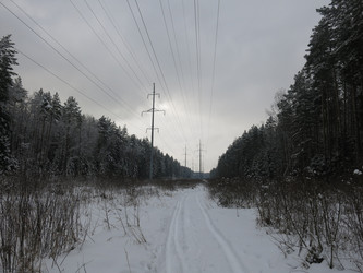 Similar image 21212548