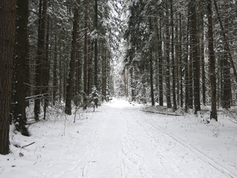 Similar image 21212549