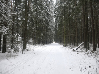 Similar image 21212550