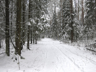 Similar image 21212551