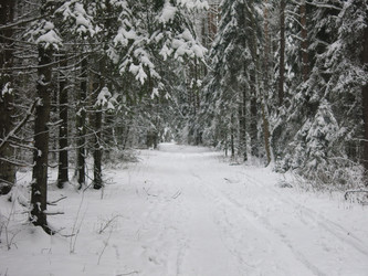 Similar image 21212552