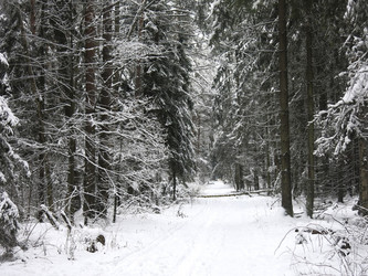 Similar image 21212553