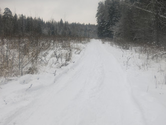 Similar image 21212554