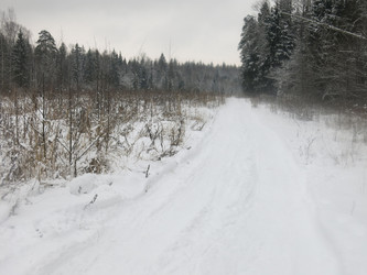 Similar image 21212680