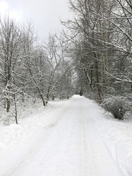 Similar image 21212681