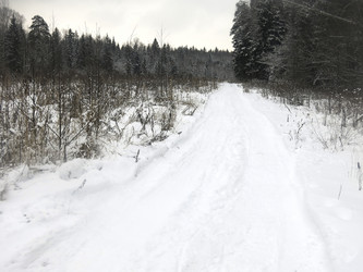 Similar image 21212682