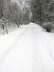 Similar image 21212683