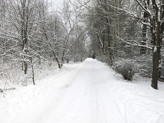 Similar image 21212684