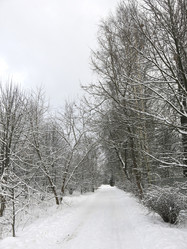 Similar image 21212685