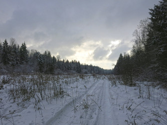 Similar image 21212686