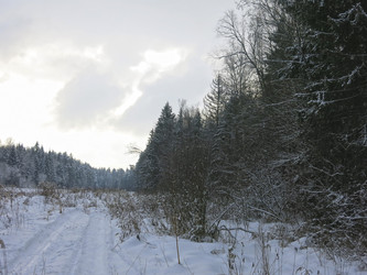 Similar image 21212688