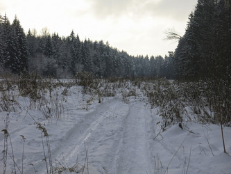 Similar image 21212689