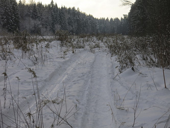 Similar image 21212691