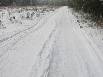 Similar image 21212693