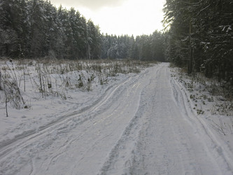 Similar image 21212695