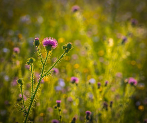 Similar image 21221351