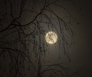 Similar image 21221356