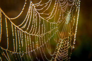 Similar image 21221358