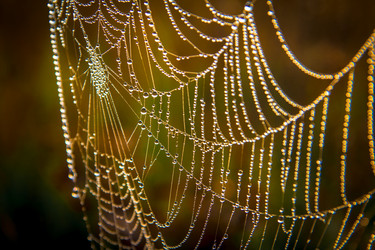 Similar image 21221359