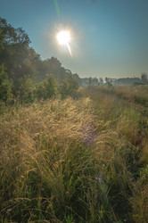 Similar image 21221370