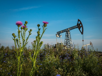 Similar image 21221373