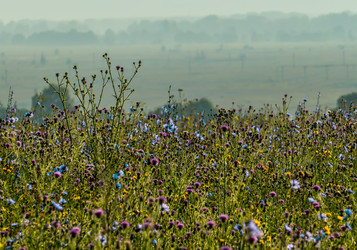 Similar image 21221374