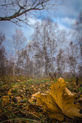 Similar image 21221375