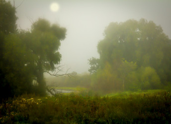 Similar image 21221376