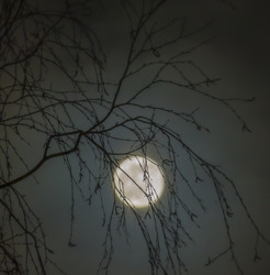 Similar image 21234733