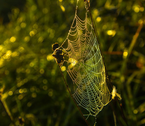 Similar image 21247798