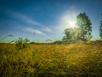 Similar image 21247800