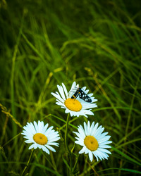 Similar image 21247801