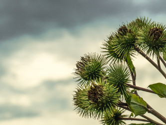 Similar image 21247816