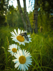 Similar image 21247817