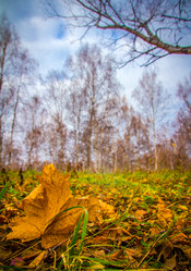 Similar image 21247818