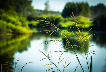 Similar image 21247819