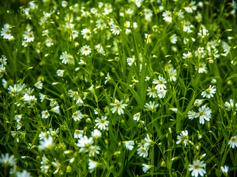 Similar image 21247820