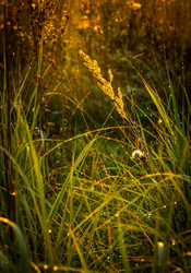 Similar image 21247828