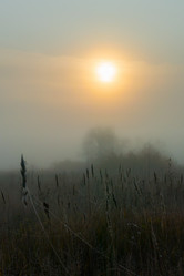 Similar image 21247832