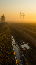 Similar image 21247837