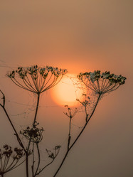 Similar image 21247840