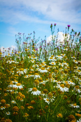 Similar image 21247843