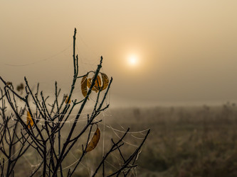 Similar image 21247844